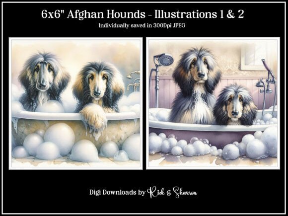 Afghan Hound Illustrations: Elegant Art for Your Projects
